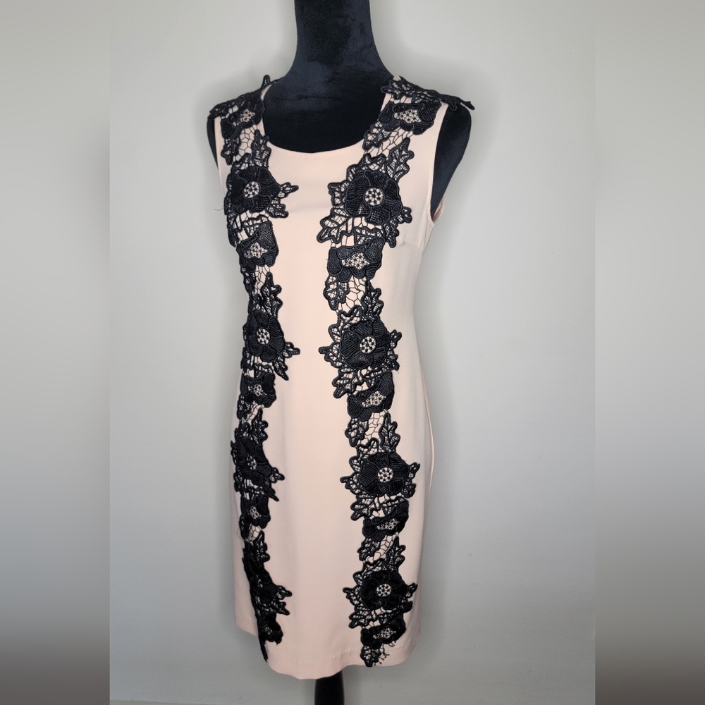 Rinascimento Pink &Black Lace Bodycon Mini Dress
